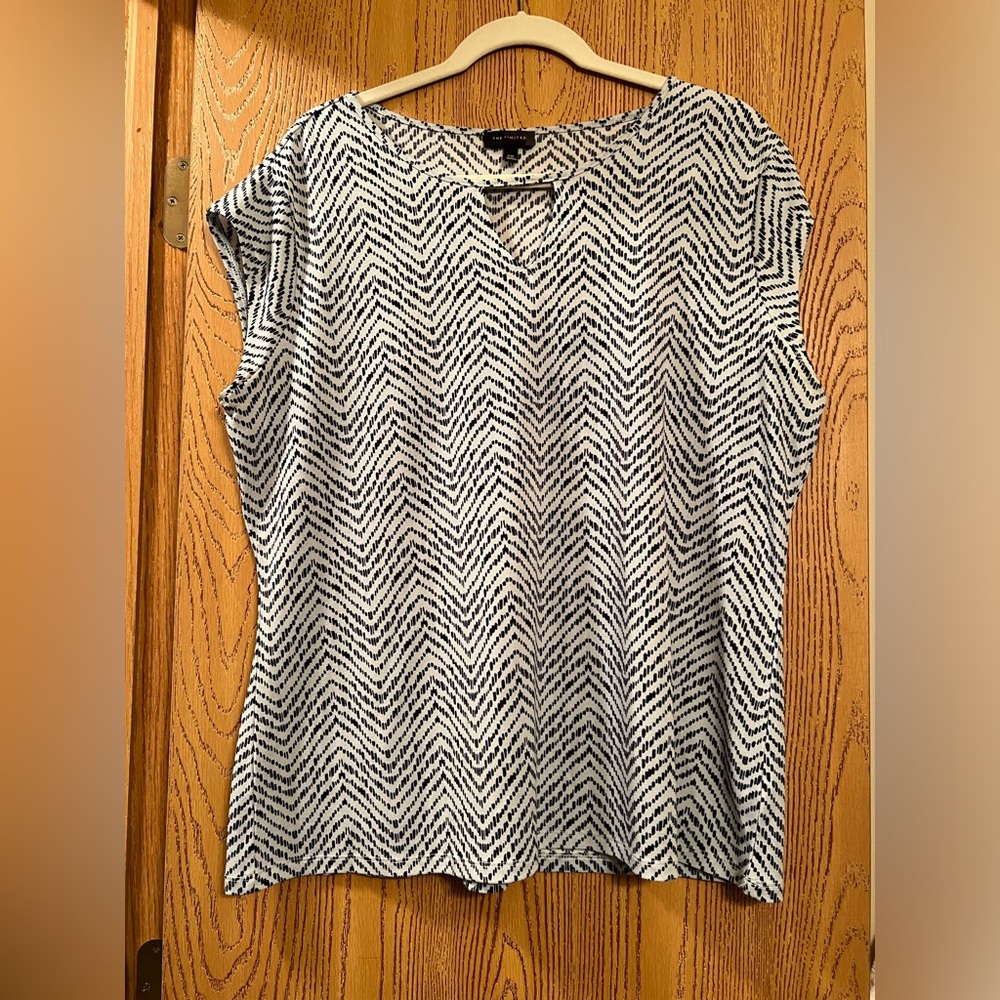 The Limited dark/light blue top
